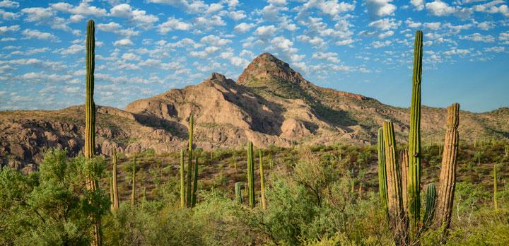 Voyage sur-mesure, Voyage sauvage Canyon du Cuivre et Désert de Basse en Californie