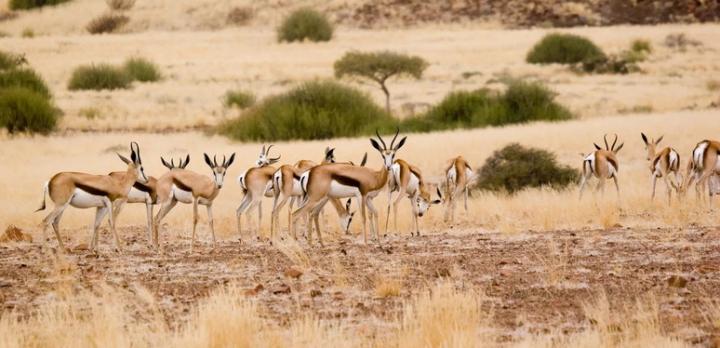 Namibie