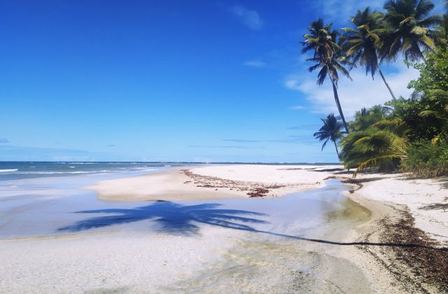 Voyage sur-mesure, Les plages autour de Salvador de Bahia