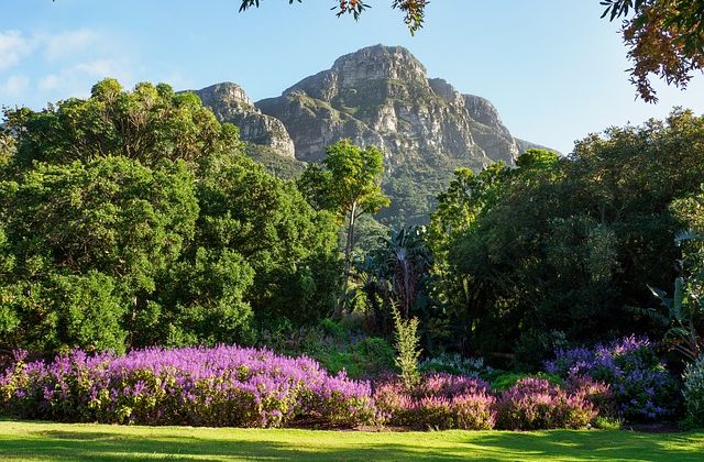 Voyage sur-mesure, Le jardin botanique de Kirstenbosch