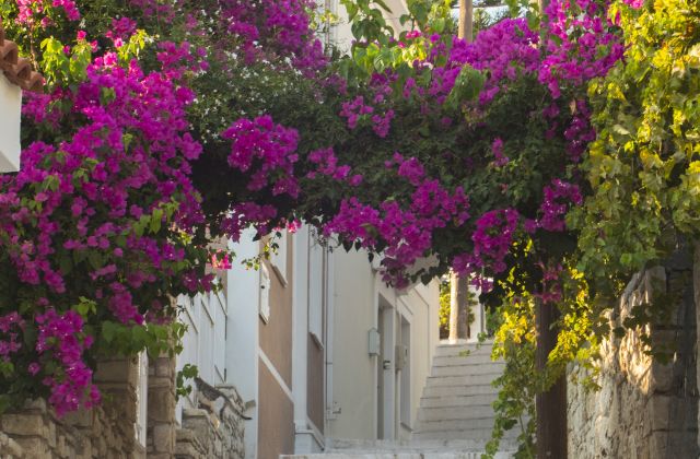 Voyage sur-mesure, Découvrez les Cyclades du Centre : le bonheur des familles