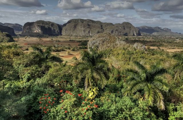 Voyage sur-mesure, Viñales