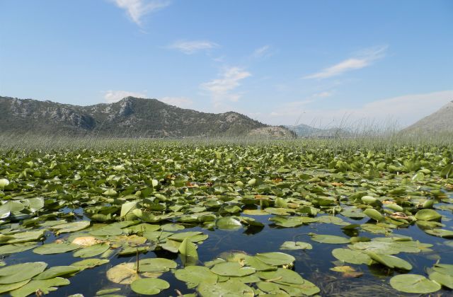 Voyage sur-mesure, Le Lac de Skadar