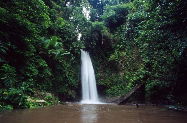 Voyage sur-mesure, A la rencontre des hommes-fleurs sur l’île de Siberut