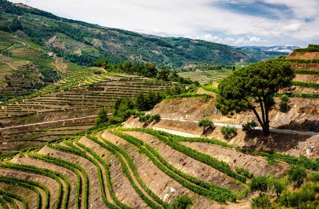 Voyage sur-mesure, Douro