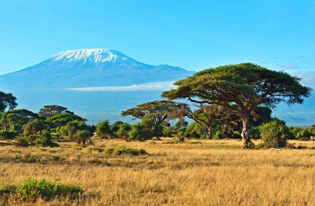 Voyage sur-mesure, L'ascension du Kilimandjaro depuis le Kenya