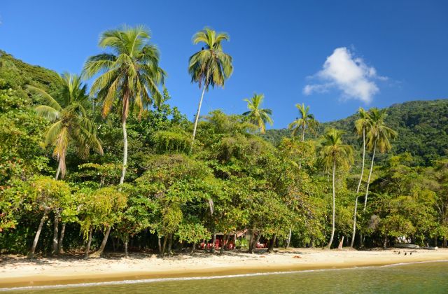 Voyage sur-mesure, Ilha Grande et Paraty