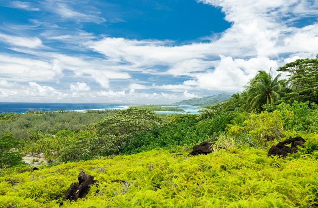 Voyage sur-mesure, Huahine, île magique