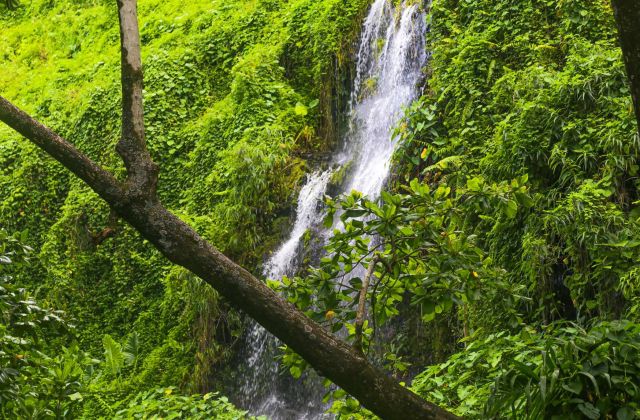 Voyage sur-mesure, L'Anse des Cascades à la Réunion