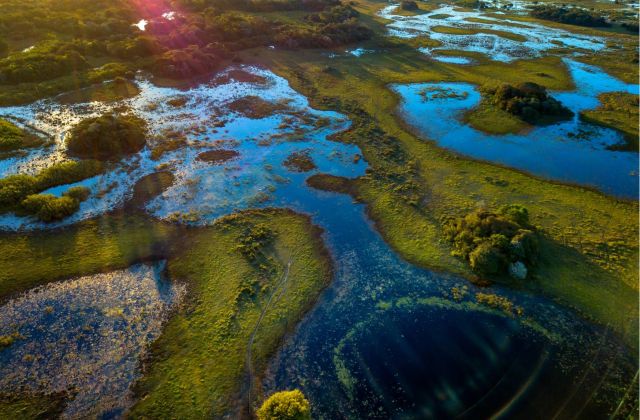 Voyage sur-mesure, La réserve du Pantanal