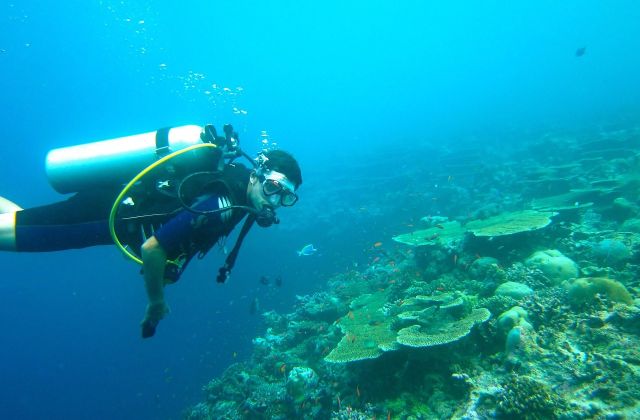 Voyage sur-mesure, Où faire de la plongée ?