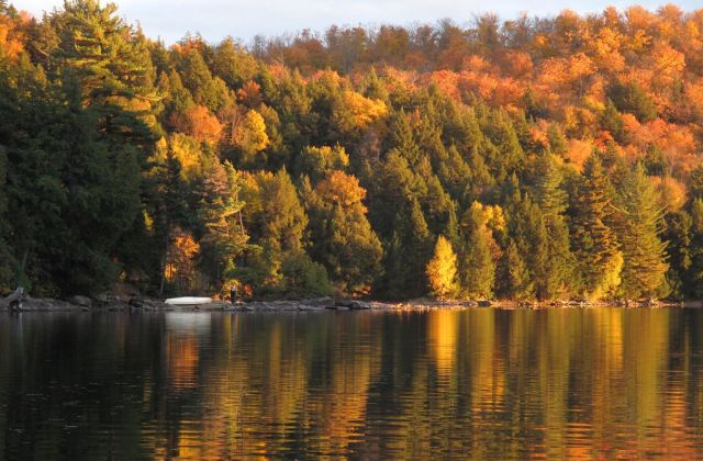 Voyage sur-mesure, Le parc provincial Algonquin