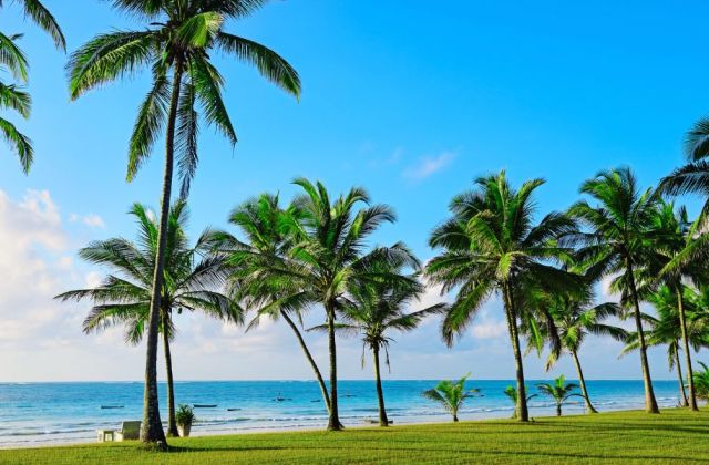 Voyage sur-mesure, Le paradis de Diani au Kenya