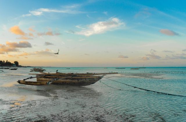 Voyage sur-mesure, Pourquoi partir à Zanzibar ?