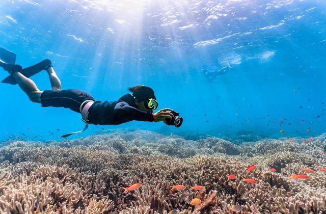 Voyage sur-mesure, Observer les récifs coralliens