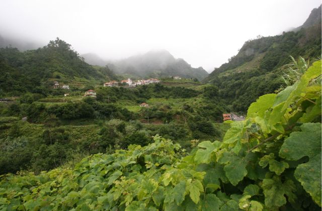 Voyage sur-mesure, Le vin de Madère