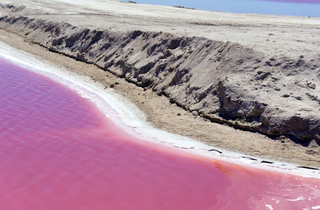 Voyage sur-mesure, Las Coloradas : La lagune rose du Mexique