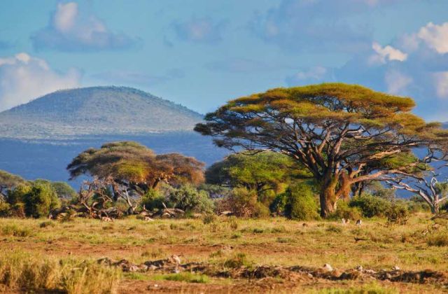 Voyage sur-mesure, Où voir le Kilimandjaro au Kenya ?