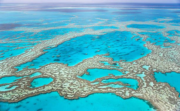 Voyage sur-mesure, Les Grandes Barrières de corail