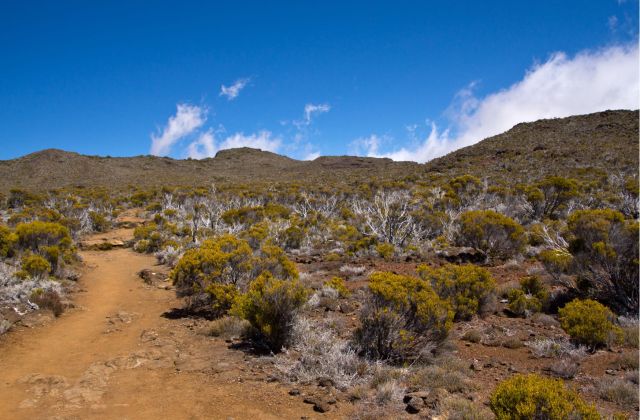 Voyage sur-mesure, Les randonnées au cœur de l'île de la Réunion