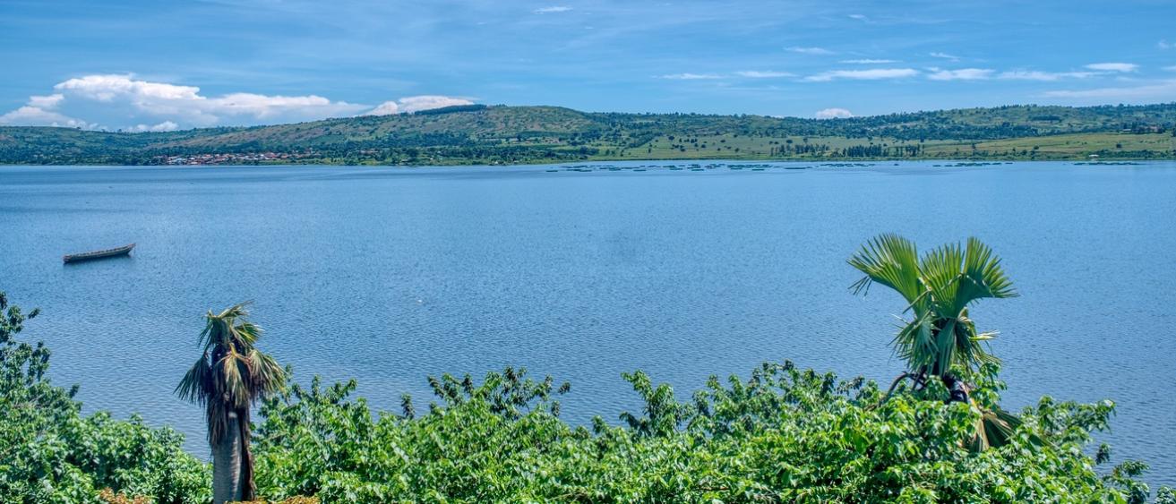 Ouganda, destination safari préservée ?