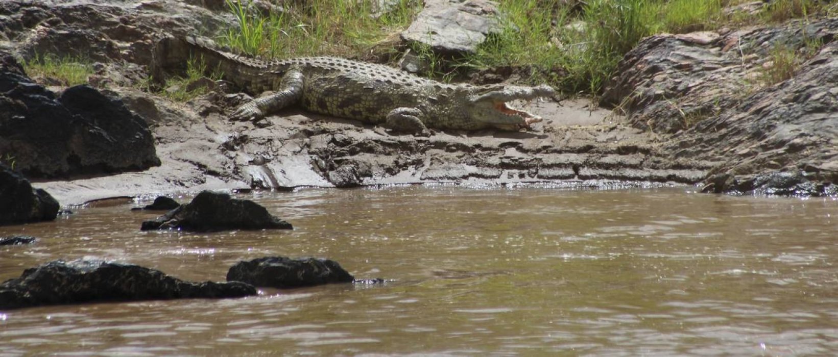 Conseils pour un voyage insolite au Kenya