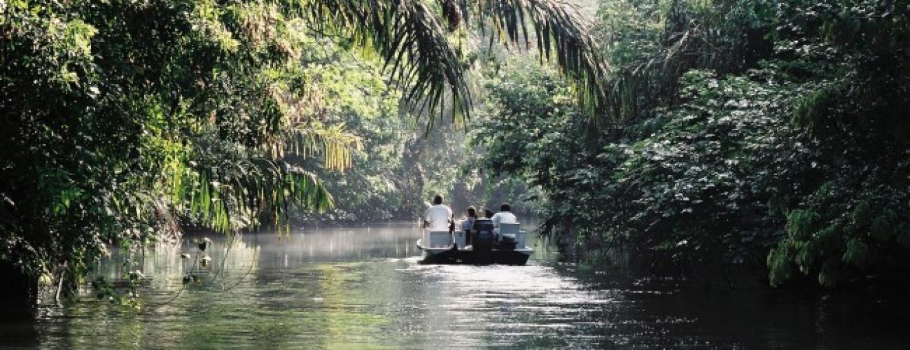 Tortuguero, à la découverte du Parc National !