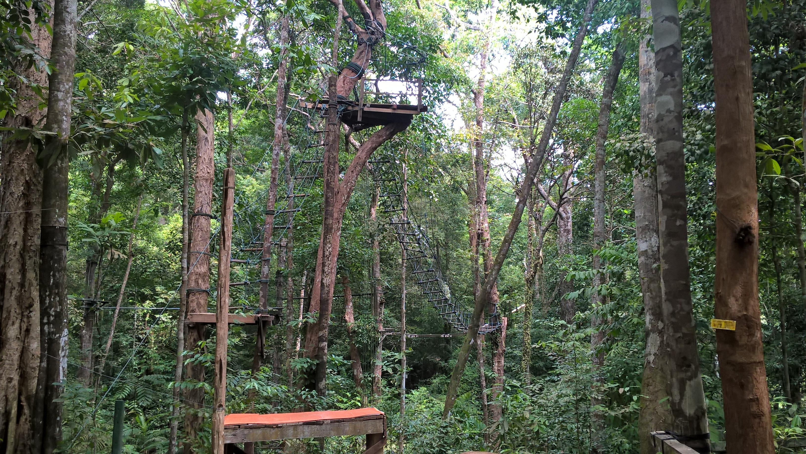 Aventure à Bornéo