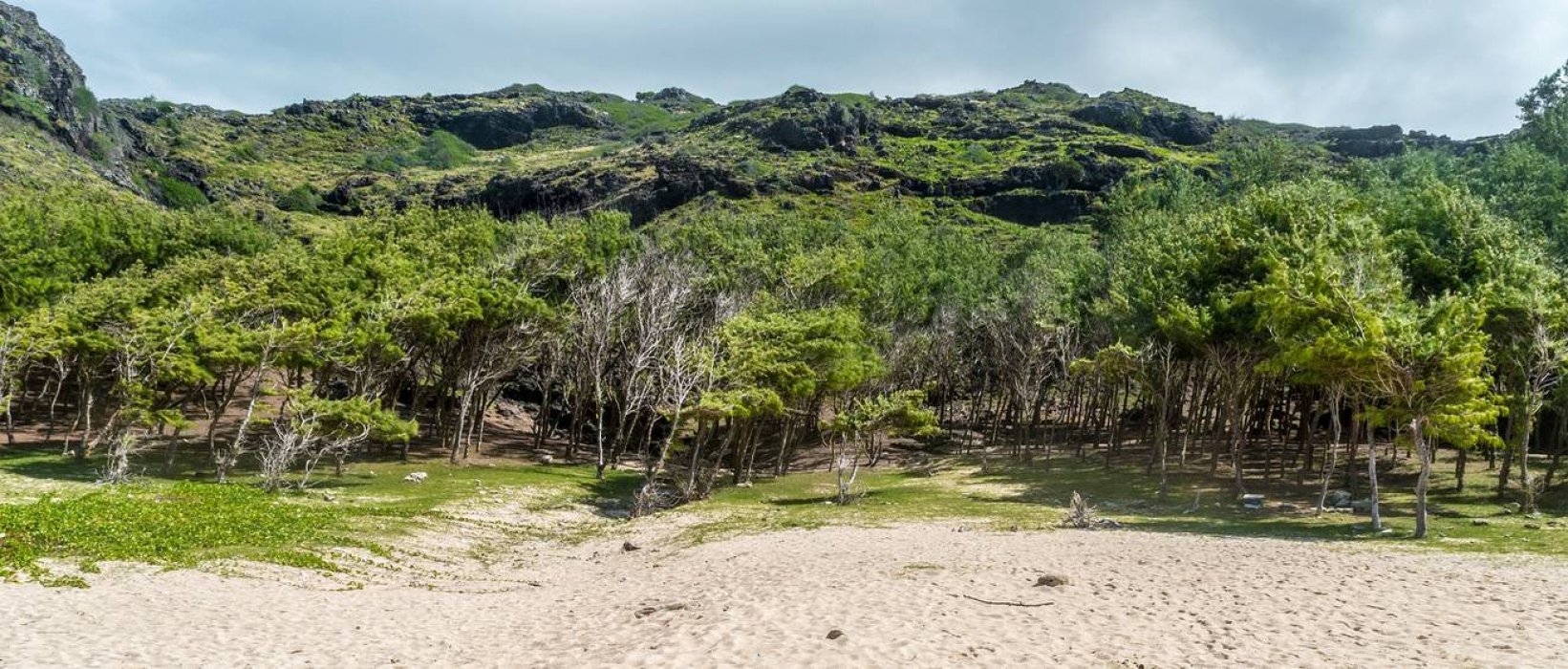 Maurice, derrière le sable, l'île aux trésors !