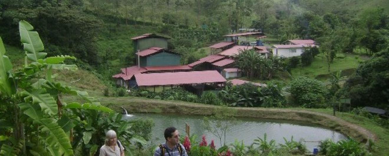 À la découverte du Café au Costa Rica !