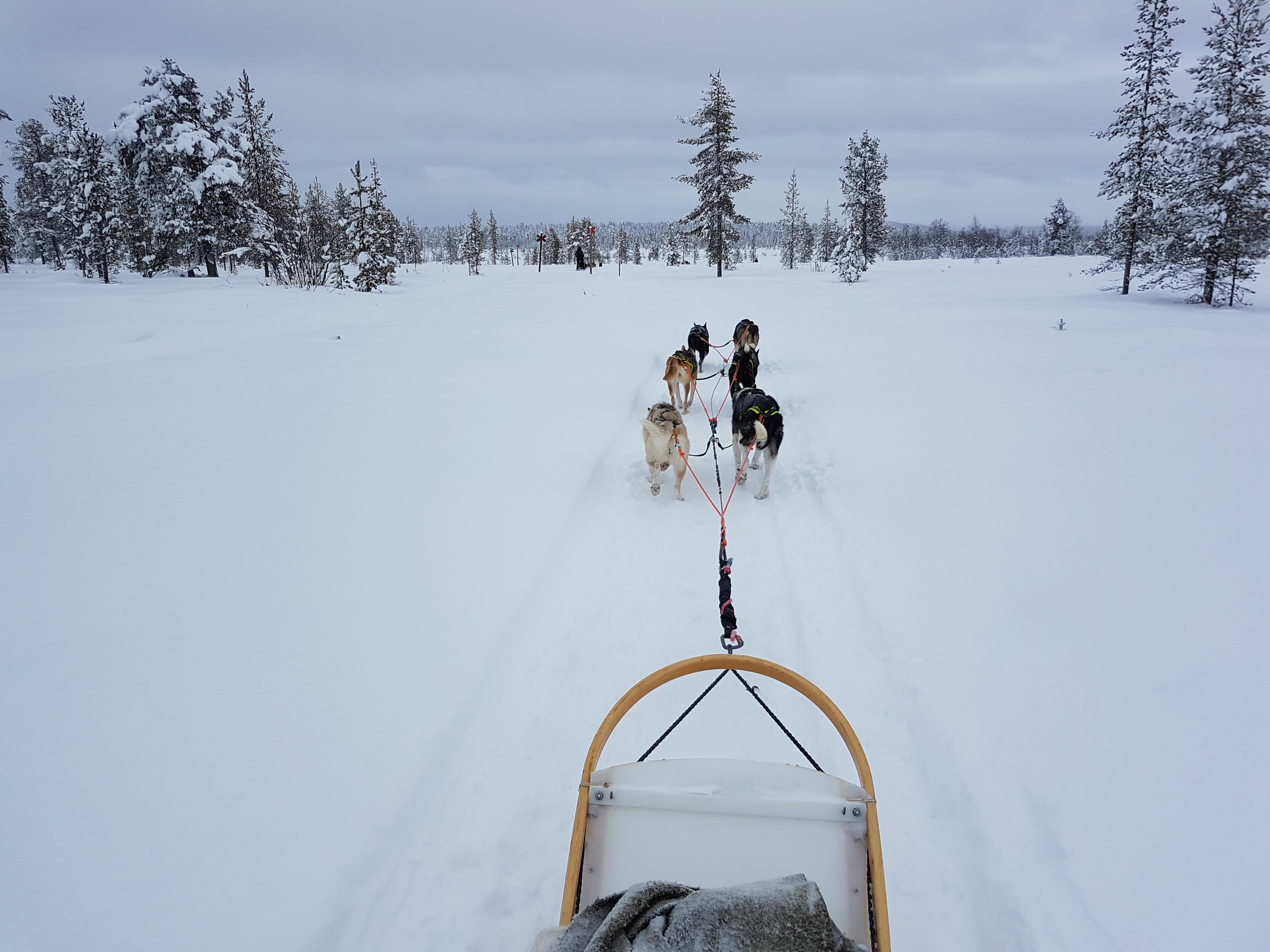 De retour de Laponie, nos clients nous racontent leur aventure !