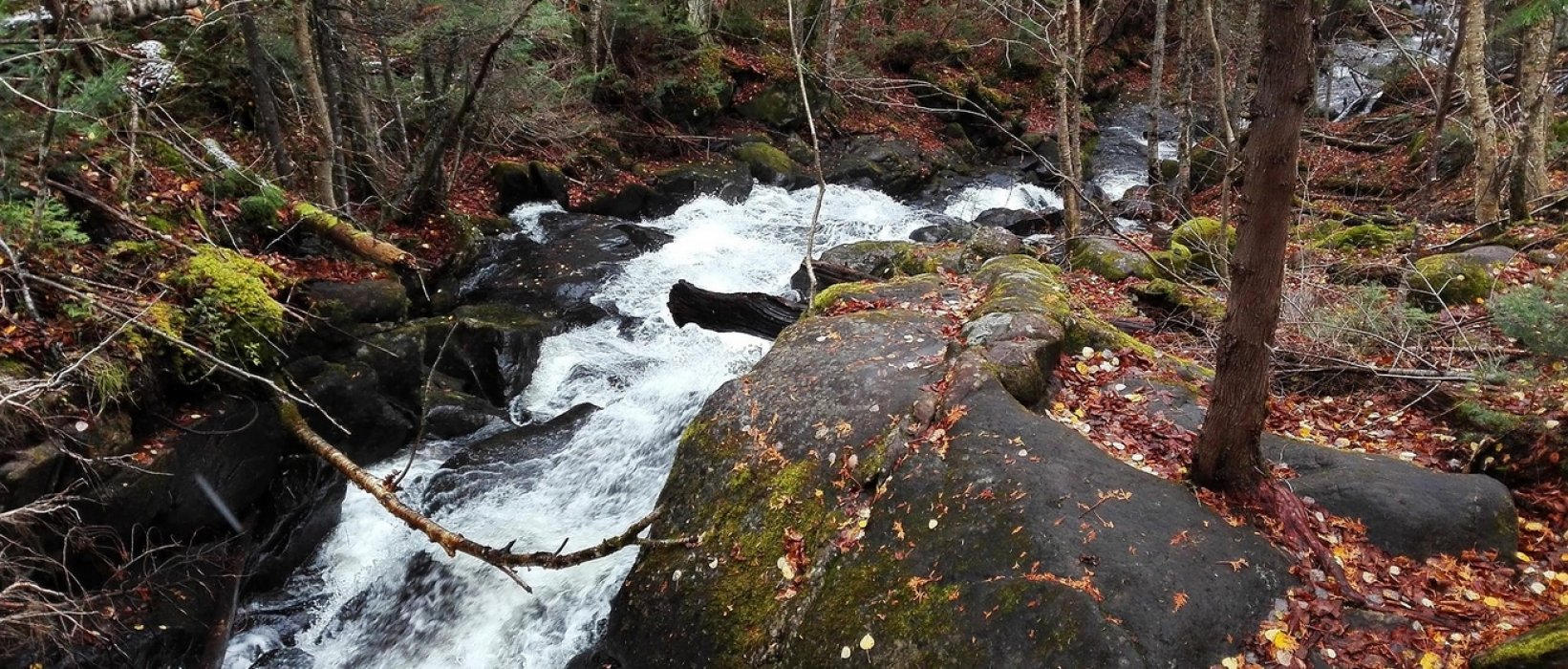 Le Québec à la saison des couleurs