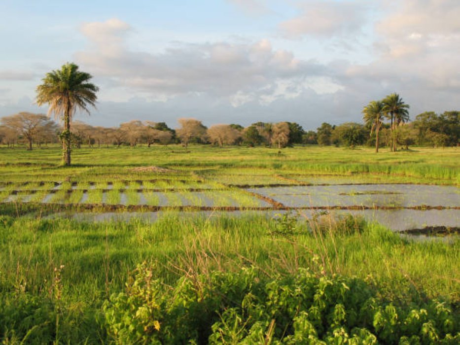 La Casamance, pourquoi est-ce à part ?