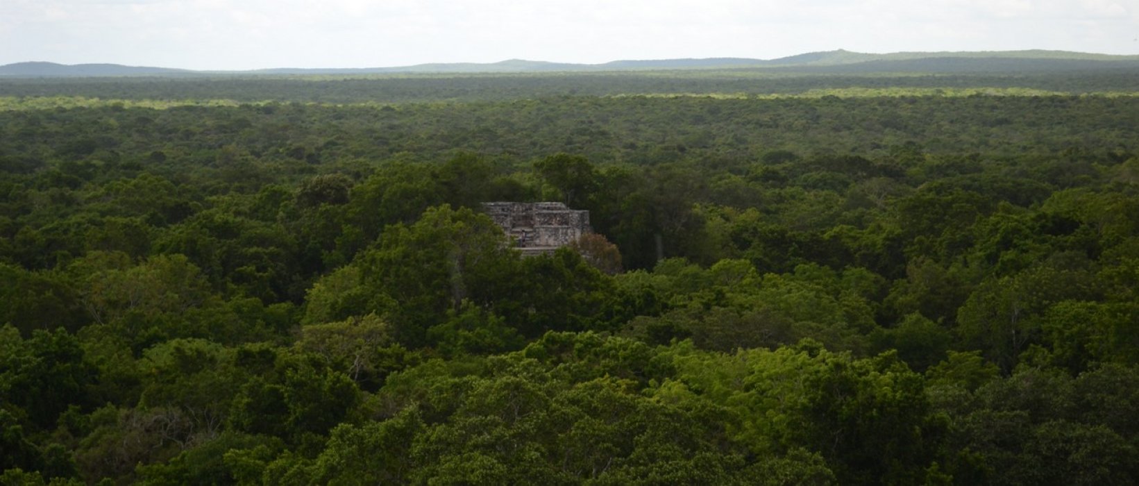 3 coups de cœur en voyage au Yucatan !