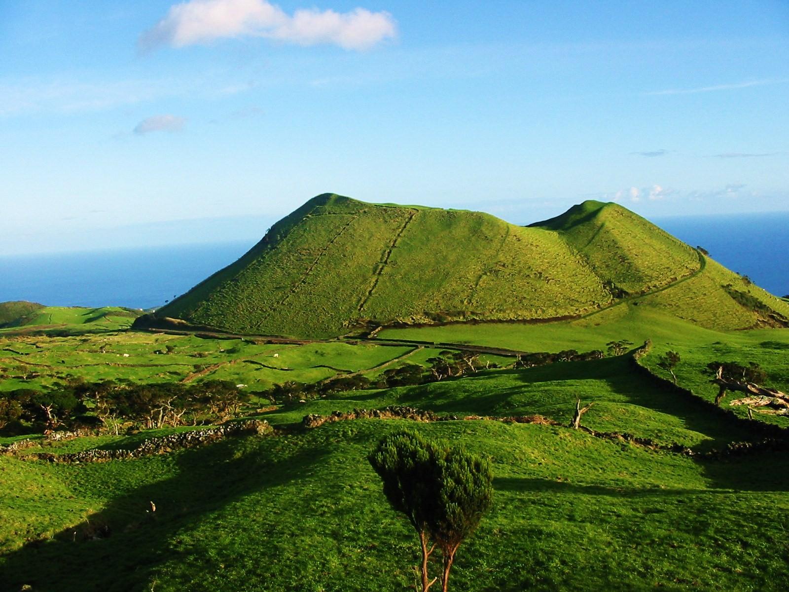 Baleines, volcans et gastronomie aux Açores