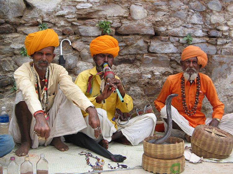 Rencontre avec les pionniers de l'écologie en Pays Bishnoï