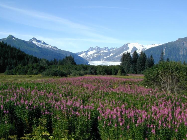 Sur les routes de l'Alaska...