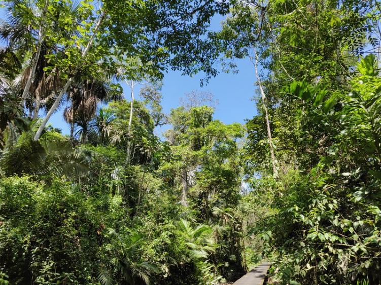 Notre croisière au coeur de l'Amazonie, en Équateur