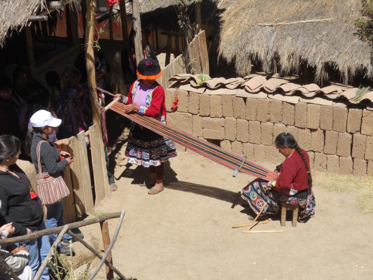 Rencontre avec l'alpaga au coeur des Andes péruviennes