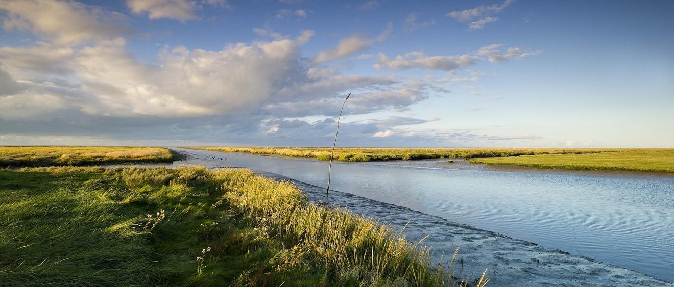Plus d'îles au large que de jours dans le calendrier... Bienvenue au Danemark!