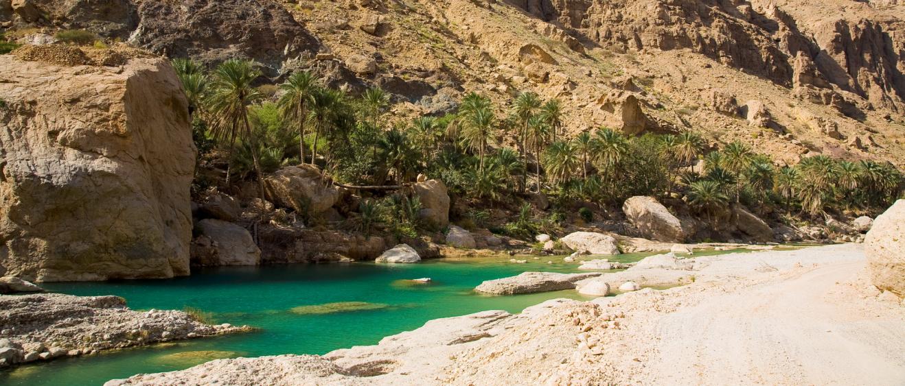 Randonnée et baignade au Wadi Bani Khalid à Oman