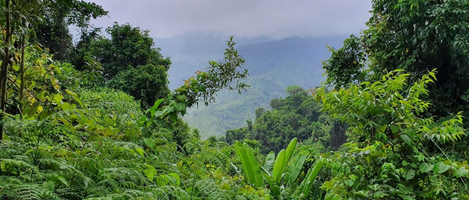 Colombie, destination dépaysante et sûre pour voyager ?
