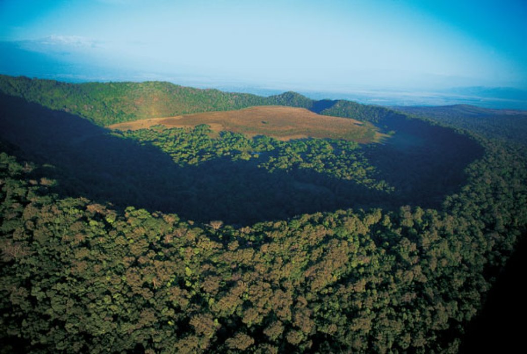 Le cratère du Ngorongoro, une des 7 merveilles d’Afrique !