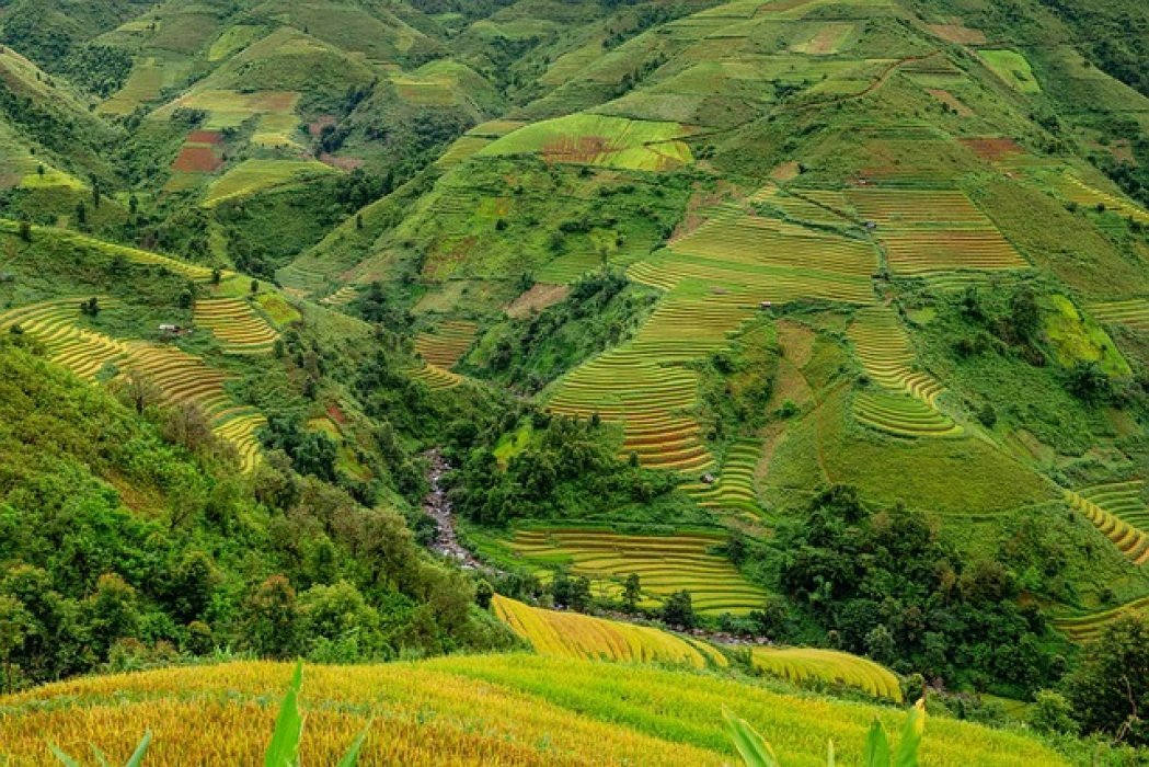 Le Vietnam et ses rizières, quelle saison choisir ?