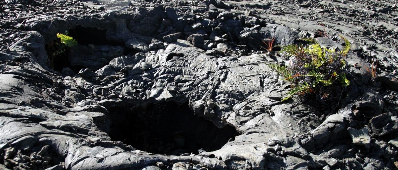 Quel explorateur êtes-vous? Les questions-test à se poser pour décider... Tunnel de lave ou tunnel de glace ?