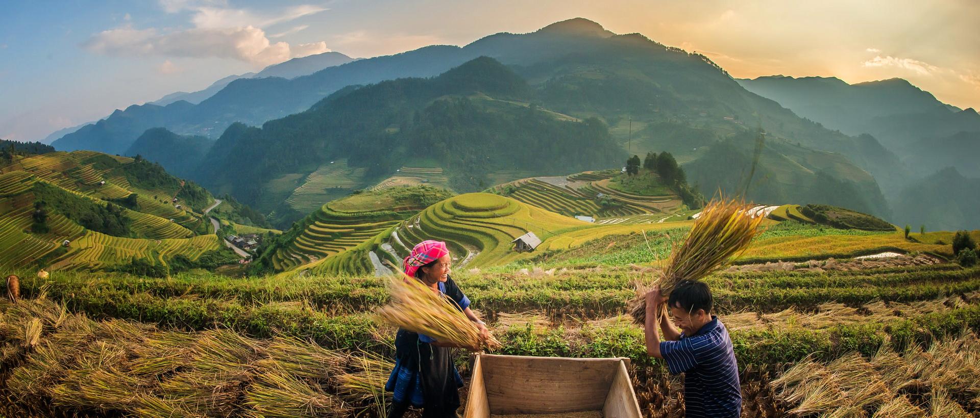 Que faire à Sapa, au Vietnam ?