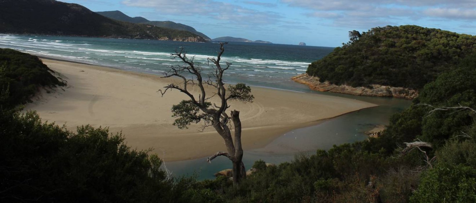 Pourquoi visiter le Wilson Promontory et Kangaroo Island ?