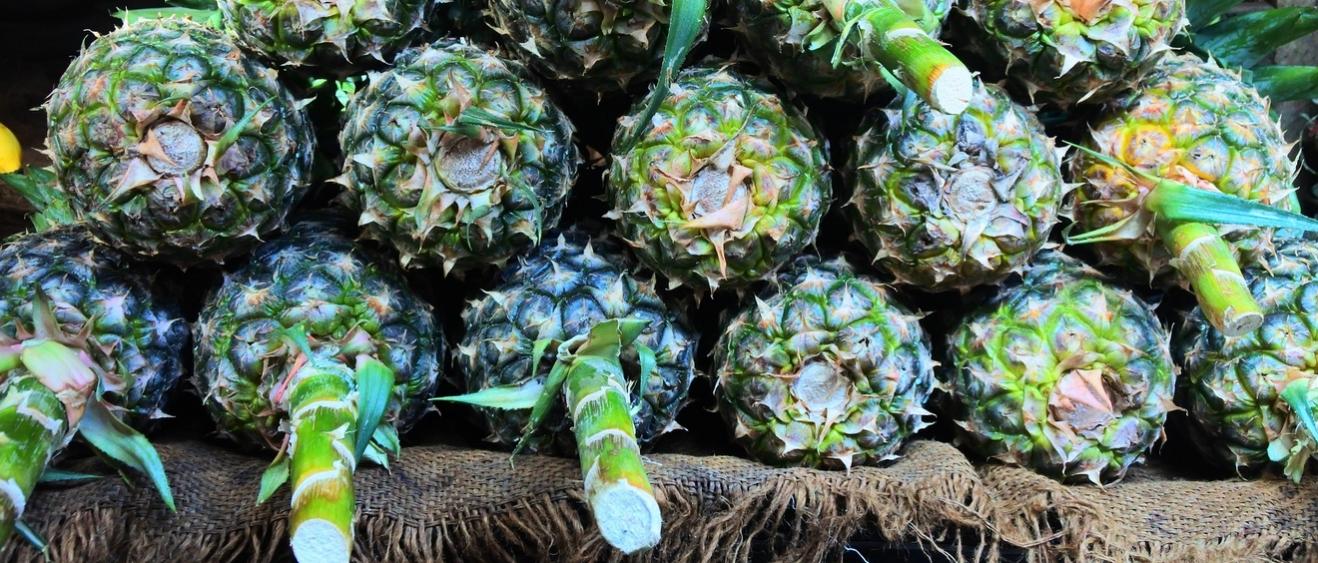 Quels plats goûter à Zanzibar ?