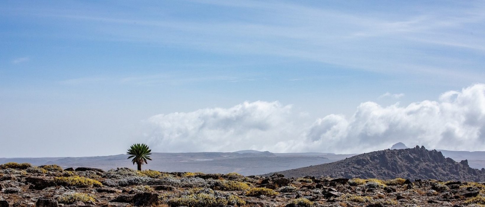 Partie à la découverte de d'Ethiopie...