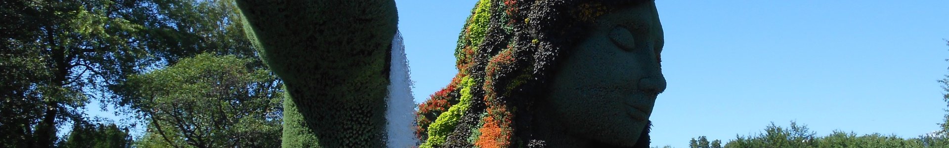 form background image